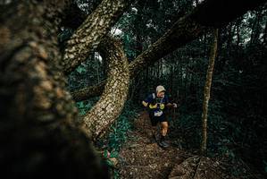 BIB: 
                            <button type="button" onclick="openModal(25699876)" class="btn btn-primary btn-sm float-right btn-popup" data-toggle="modal" data-target=".modal-high-quality">
                        <i class="fas fa-shopping-cart"></i> Add to Cart
                    </button>
                                            <button type="button" onclick="isThisMe(25699876, true)" class="btn btn-success btn-sm float-right btn-popup btn-isme hidden" data-toggle="tooltip" data-placement="bottom" title="นี่คือรูปของคุณใช่ไหม คลิกที่นี่เพื่อเอาเข้าอัลบั้ม">
                        <i class="fas fa-plus"></i> Add to album
                    </button>
                    <button type="button" onclick="isThisMe(25699876, false)" class="btn btn-warning btn-sm float-right btn-popup btn-isnotme hidden">
                        <i class="fas fa-ban"></i> Remove from album
                    </button>